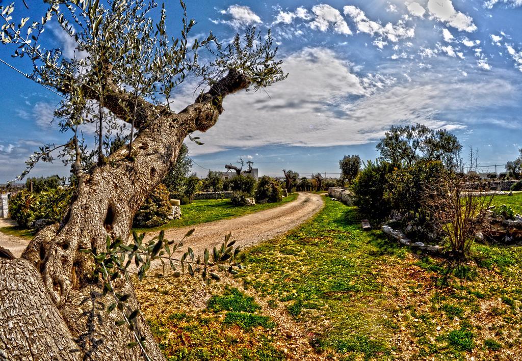 Masseria Rosa Trulli Relais Alberobello Eksteriør billede