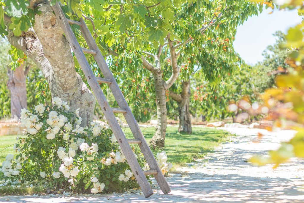 Masseria Rosa Trulli Relais Alberobello Eksteriør billede